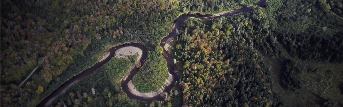 Aerial view of river with no encroachment.